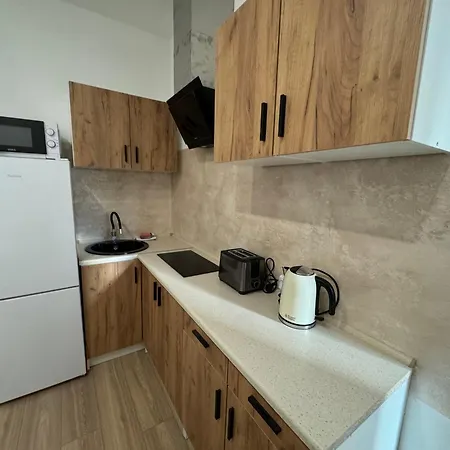 Apartmentsbymatyrafa-vi * Tarnowskie Góry